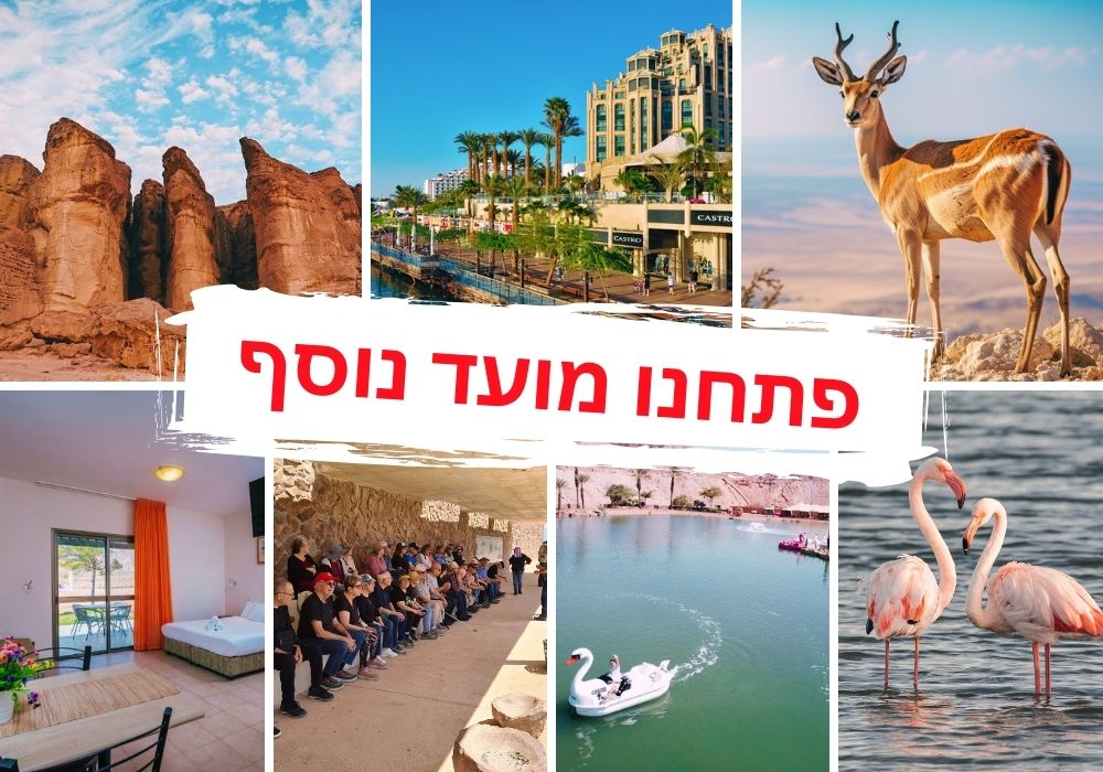 חוויה בערבה: הרפתקה בלתי נשכחת בין מדבר לים - מועדון זמן תרבות