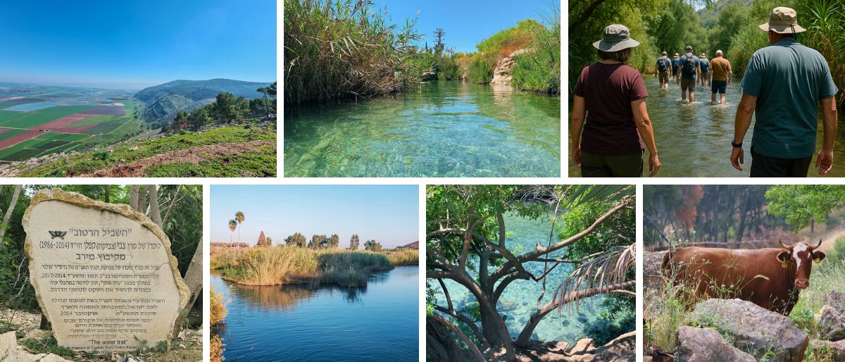 🌿 מים, טבע וחברים בעמק המעיינות